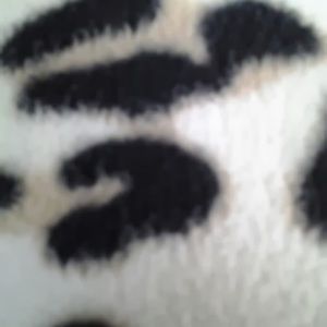 Meet your Posher, Zannah